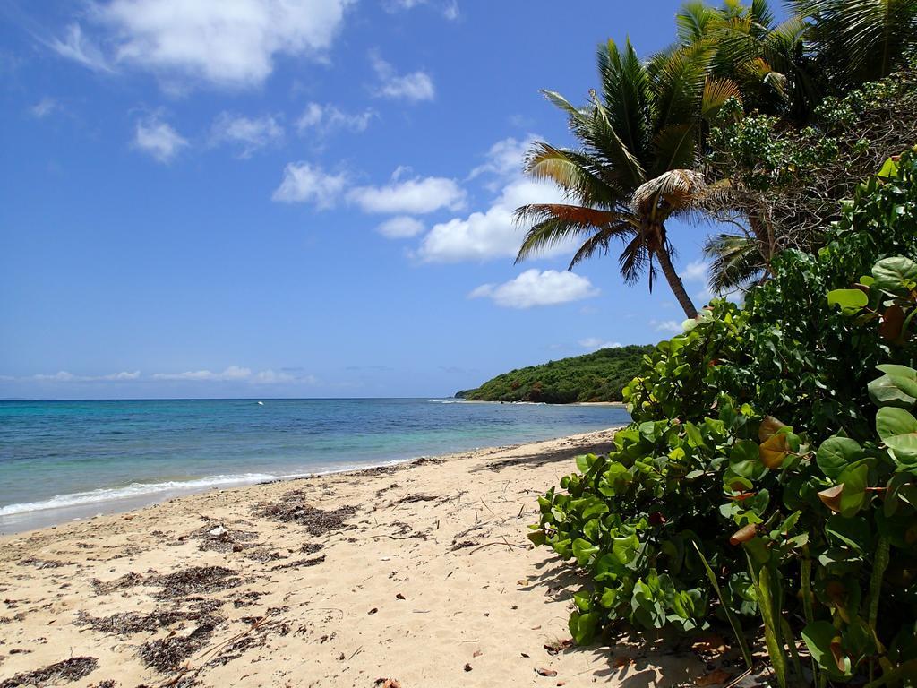 Ababor Suites Guesthouse Vieques Exterior photo