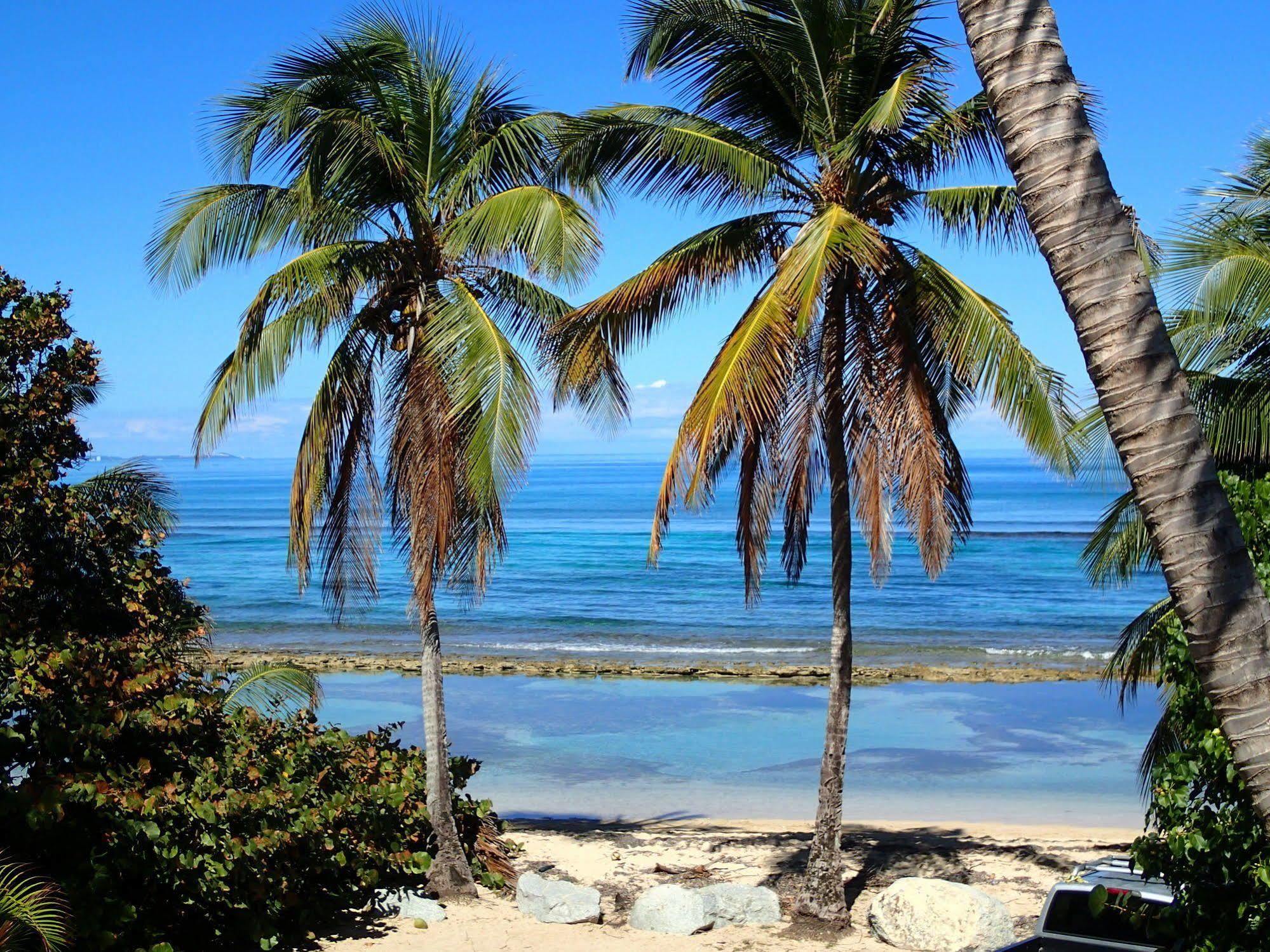 Ababor Suites Guesthouse Vieques Exterior photo